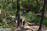 Epta Piges - Zeven bronnen Rhodos - Rhodos Dodecanese - Foto 183 - Foto van De Griekse Gids