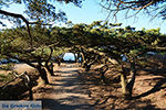 Filerimos Rhodos - Rhodos Dodecanese - Foto 304 - Foto van De Griekse Gids