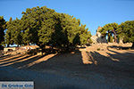 Filerimos Rhodos - Rhodos Dodecanese - Foto 366 - Foto van De Griekse Gids