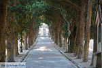 Filerimos Rhodos - Rhodos Dodecanese - Foto 374 - Foto van De Griekse Gids