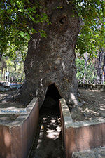 Profitis Ilias Rhodos - Rhodos Dodecanese - Foto 1176 - Foto van De Griekse Gids