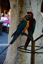 Rhodos stad Rhodos - Rhodos Dodecanese - Foto 1374 - Foto van De Griekse Gids