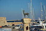 Rhodos stad Rhodos - Rhodos Dodecanese - Foto 1506 - Foto van De Griekse Gids