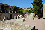Rhodos stad Rhodos - Rhodos Dodecanese - Foto 1652 - Foto van De Griekse Gids