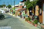 Siana Rhodos - Rhodos Dodecanese - Foto 1764 - Foto van De Griekse Gids