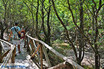 Vlindervallei Rhodos - Rhodos Dodecanese - Foto 1834 - Foto van De Griekse Gids