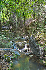 Vlindervallei Rhodos - Rhodos Dodecanese - Foto 1844 - Foto van De Griekse Gids