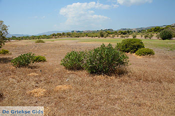 Afandou Rhodos - Rhodos Dodecanese - Foto 30 - Foto van https://www.grieksegids.nl/fotos/rhodos/350/afandou-030.jpg