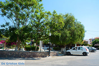 Apolakkia Rhodos - Rhodos Dodecanese - Foto 77 - Foto van https://www.grieksegids.nl/fotos/rhodos/350/apolakkia-002.jpg