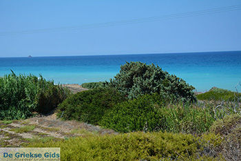 Apolakkia Rhodos - Rhodos Dodecanese - Foto 83 - Foto van https://www.grieksegids.nl/fotos/rhodos/350/apolakkia-008.jpg