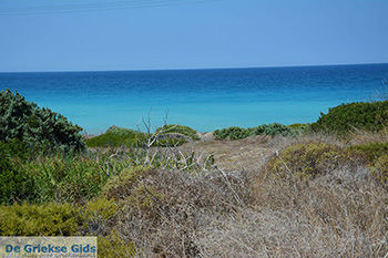 Apolakkia Rhodos - Rhodos Dodecanese - Foto 84 - Foto van https://www.grieksegids.nl/fotos/rhodos/350/apolakkia-009.jpg