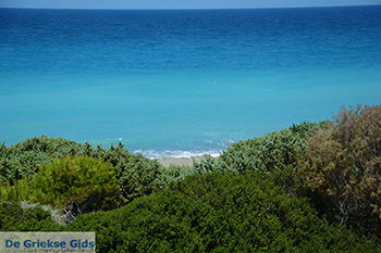 Apolakkia Rhodos - Rhodos Dodecanese - Foto 86 - Foto van https://www.grieksegids.nl/fotos/rhodos/350/apolakkia-011.jpg