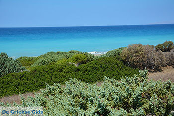 Apolakkia Rhodos - Rhodos Dodecanese - Foto 87 - Foto van https://www.grieksegids.nl/fotos/rhodos/350/apolakkia-012.jpg