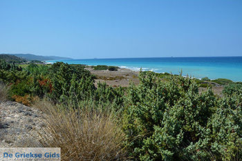 Apolakkia Rhodos - Rhodos Dodecanese - Foto 89 - Foto van https://www.grieksegids.nl/fotos/rhodos/350/apolakkia-014.jpg