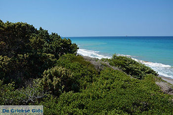 Apolakkia Rhodos - Rhodos Dodecanese - Foto 93 - Foto van https://www.grieksegids.nl/fotos/rhodos/350/apolakkia-018.jpg