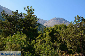 Embonas Rhodos - Rhodos Dodecanese - Foto 12 - Foto van https://www.grieksegids.nl/fotos/rhodos/350/embonas-012.jpg