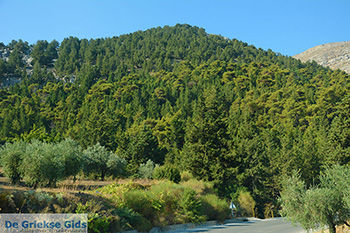 Embonas Rhodos - Rhodos Dodecanese - Foto 13 - Foto van https://www.grieksegids.nl/fotos/rhodos/350/embonas-013.jpg