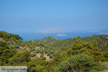 Embonas Rhodos - Rhodos Dodecanese - Foto 17 - Foto van https://www.grieksegids.nl/fotos/rhodos/350/embonas-017.jpg