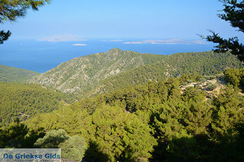 Embonas Rhodos - Rhodos Dodecanese - Foto 19 - Foto van https://www.grieksegids.nl/fotos/rhodos/350/embonas-019.jpg