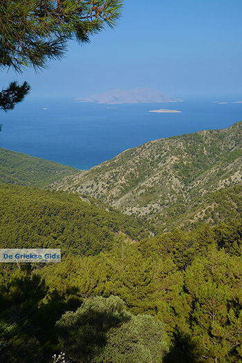 Embonas Rhodos - Rhodos Dodecanese - Foto 20 - Foto van https://www.grieksegids.nl/fotos/rhodos/350/embonas-020.jpg