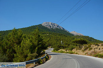 Embonas Rhodos - Rhodos Dodecanese - Foto 21 - Foto van https://www.grieksegids.nl/fotos/rhodos/350/embonas-021.jpg