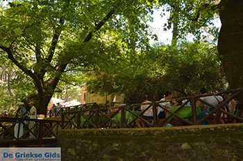 Epta Piges - Zeven bronnen Rhodos - Rhodos Dodecanese - Foto 158 - Foto van https://www.grieksegids.nl/fotos/rhodos/350/epta-piges-015.jpg