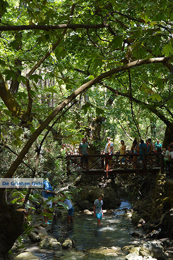 Epta Piges - Zeven bronnen Rhodos - Rhodos Dodecanese - Foto 165 - Foto van https://www.grieksegids.nl/fotos/rhodos/350/epta-piges-022.jpg