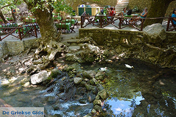 Epta Piges - Zeven bronnen Rhodos - Rhodos Dodecanese - Foto 167 - Foto van https://www.grieksegids.nl/fotos/rhodos/350/epta-piges-024.jpg
