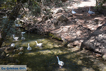 Epta Piges - Zeven bronnen Rhodos - Rhodos Dodecanese - Foto 170 - Foto van https://www.grieksegids.nl/fotos/rhodos/350/epta-piges-027.jpg