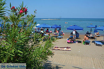 Faliraki Rhodos - Rhodos Dodecanese - Foto 221 - Foto van https://www.grieksegids.nl/fotos/rhodos/350/faliraki-037.jpg