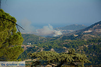 Filerimos Rhodos - Rhodos Dodecanese - Foto 287 - Foto van https://www.grieksegids.nl/fotos/rhodos/350/filerimos-035.jpg