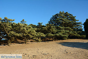 Filerimos Rhodos - Rhodos Dodecanese - Foto 306 - Foto van https://www.grieksegids.nl/fotos/rhodos/350/filerimos-054.jpg