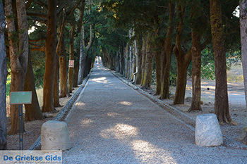 Filerimos Rhodos - Rhodos Dodecanese - Foto 368 - Foto van https://www.grieksegids.nl/fotos/rhodos/350/filerimos-116.jpg