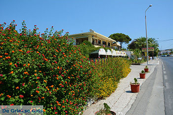 Kalithea Rhodos - Rhodos Dodecanese - Foto 495 - Foto van https://www.grieksegids.nl/fotos/rhodos/350/kalithea-004.jpg