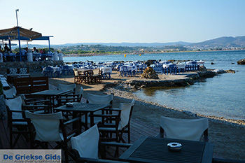 Kolymbia Rhodos - Rhodos Dodecanese - Foto 713 - Foto van https://www.grieksegids.nl/fotos/rhodos/350/kolymbia-037.jpg