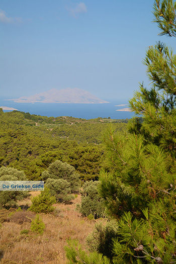 Kritinia Rhodos - Rhodos Dodecanese - Foto 750 - Foto van https://www.grieksegids.nl/fotos/rhodos/350/kritinia-022.jpg