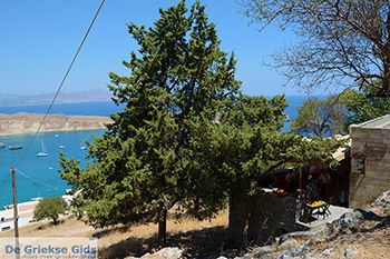 Lindos Rhodos - Rhodos Dodecanese - Foto 974 - Foto van https://www.grieksegids.nl/fotos/rhodos/350/lindos-135.jpg
