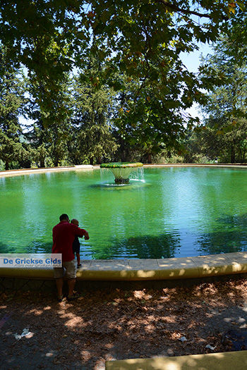 Profitis Ilias Rhodos - Rhodos Dodecanese - Foto 1186 - Foto van https://www.grieksegids.nl/fotos/rhodos/350/profitis-ilias-016.jpg