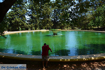 Profitis Ilias Rhodos - Rhodos Dodecanese - Foto 1187 - Foto van https://www.grieksegids.nl/fotos/rhodos/350/profitis-ilias-017.jpg