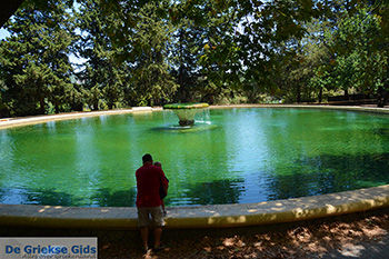 Profitis Ilias Rhodos - Rhodos Dodecanese - Foto 1188 - Foto van https://www.grieksegids.nl/fotos/rhodos/350/profitis-ilias-018.jpg