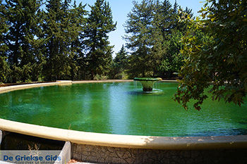 Profitis Ilias Rhodos - Rhodos Dodecanese - Foto 1190 - Foto van https://www.grieksegids.nl/fotos/rhodos/350/profitis-ilias-020.jpg