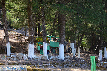 Profitis Ilias Rhodos - Rhodos Dodecanese - Foto 1209 - Foto van https://www.grieksegids.nl/fotos/rhodos/350/profitis-ilias-039.jpg