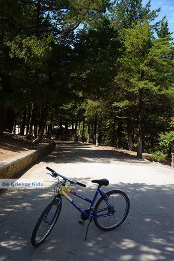 Profitis Ilias Rhodos - Rhodos Dodecanese - Foto 1218 - Foto van https://www.grieksegids.nl/fotos/rhodos/350/profitis-ilias-048.jpg