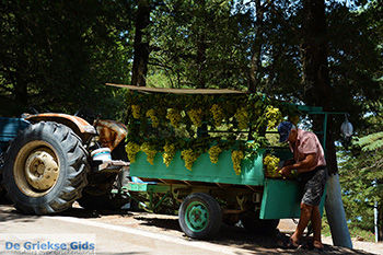 Profitis Ilias Rhodos - Rhodos Dodecanese - Foto 1224 - Foto van https://www.grieksegids.nl/fotos/rhodos/350/profitis-ilias-054.jpg