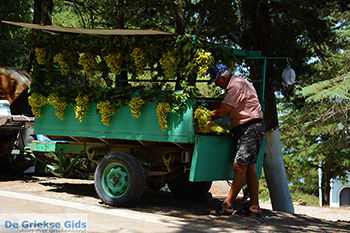 Profitis Ilias Rhodos - Rhodos Dodecanese - Foto 1225 - Foto van https://www.grieksegids.nl/fotos/rhodos/350/profitis-ilias-055.jpg