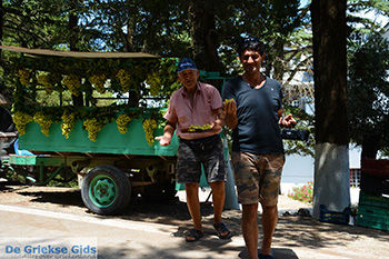 Profitis Ilias Rhodos - Rhodos Dodecanese - Foto 1226 - Foto van https://www.grieksegids.nl/fotos/rhodos/350/profitis-ilias-056.jpg