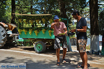 Profitis Ilias Rhodos - Rhodos Dodecanese - Foto 1227 - Foto van https://www.grieksegids.nl/fotos/rhodos/350/profitis-ilias-057.jpg