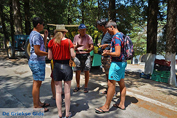 Profitis Ilias Rhodos - Rhodos Dodecanese - Foto 1228 - Foto van https://www.grieksegids.nl/fotos/rhodos/350/profitis-ilias-058.jpg