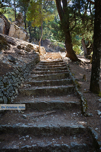 Profitis Ilias Rhodos - Rhodos Dodecanese - Foto 1233 - Foto van https://www.grieksegids.nl/fotos/rhodos/350/profitis-ilias-063.jpg