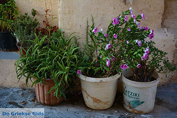 Rhodos stad Rhodos - Rhodos Dodecanese - Foto 1358 - Foto van https://www.grieksegids.nl/fotos/rhodos/350/rhodos-stad-095.jpg